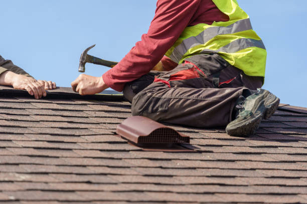 Best Roof Gutter Cleaning  in Obetz, OH