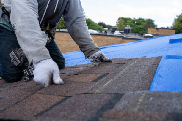 Best Roof Leak Repair  in Obetz, OH