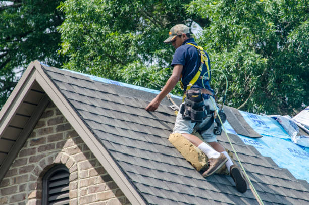 Best Roof Waterproofing Services  in Obetz, OH